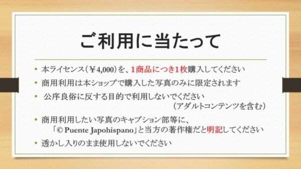 商用利用ライセンス - 画像 (2)